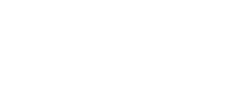 Feber